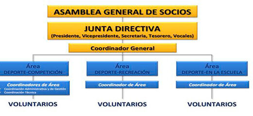 organigrama de un club deportivo