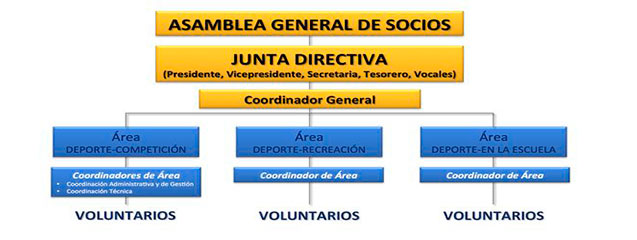 Descubrir 42+ imagen estructura organizacional de un club deportivo