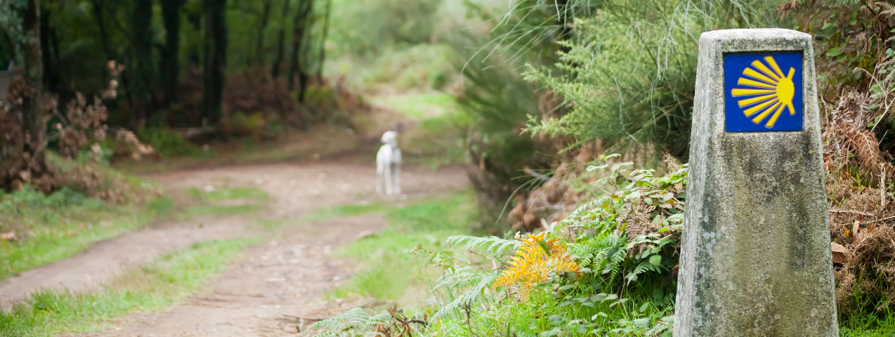 Prepararte físicamente Camino de Santiago