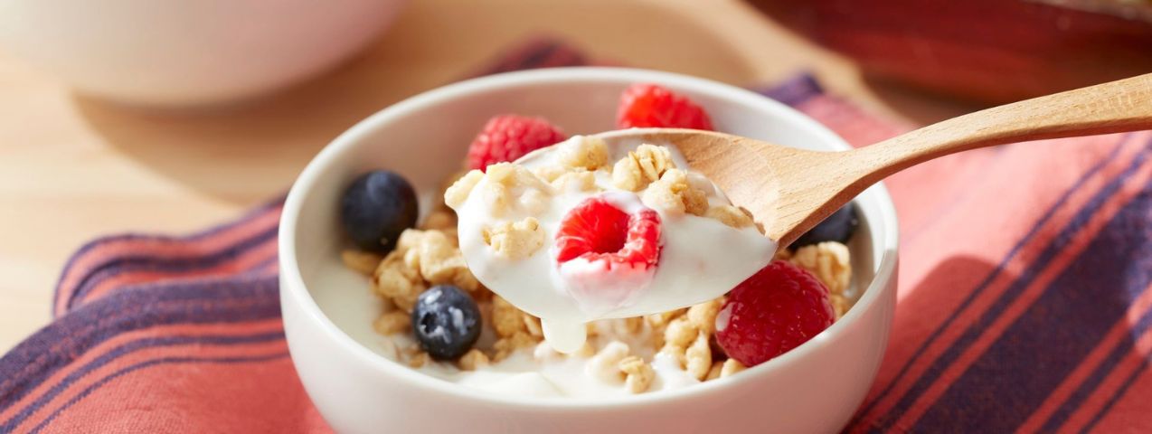 alternativas naturales a batidos de proteínas