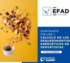 seminario-EFAD