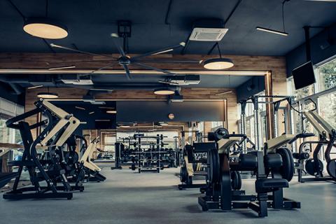 gimnasio