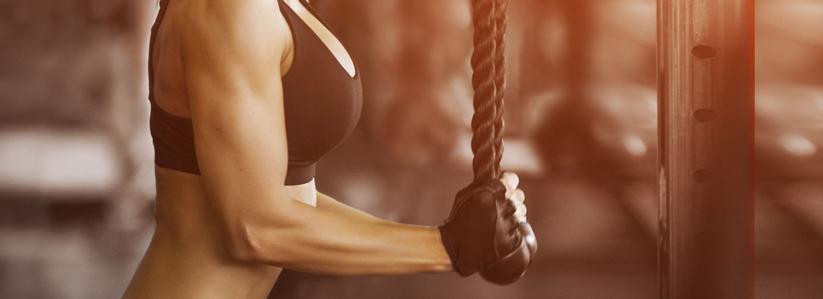 Imagen cabecera Experto en Cross Training y Entrenador Personal Imagen cabecera Experto en Cross Training y Entrenador Personal
